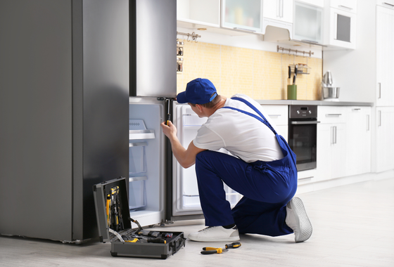 Refrigerator Inspection Service