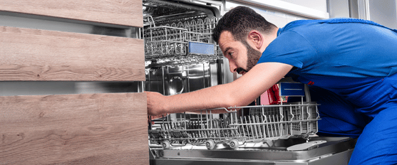 Are Dirty Plates Coming Out of Your Dishwasher in Motor City