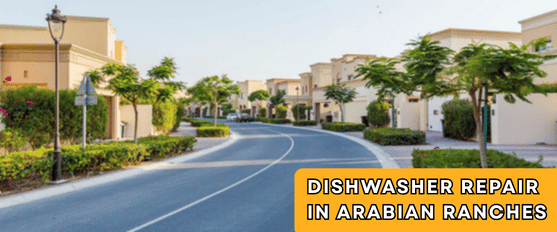 Dishwasher Repair in Arabian Ranches