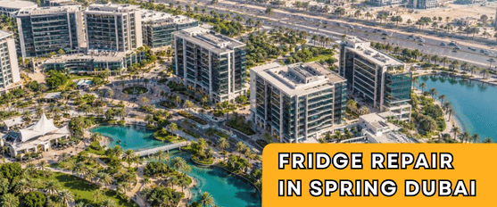 Fridge Repair in Spring Dubai