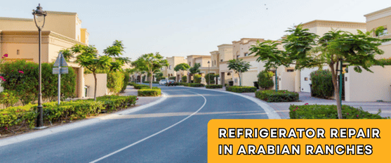 Refrigerator Repair in Arabian Ranches